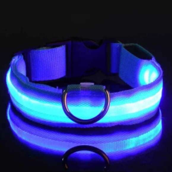 🆕️ High visibility collar and portable watering bottle - Picture 2 of 13